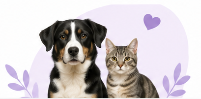 Un perro y un gato juntos